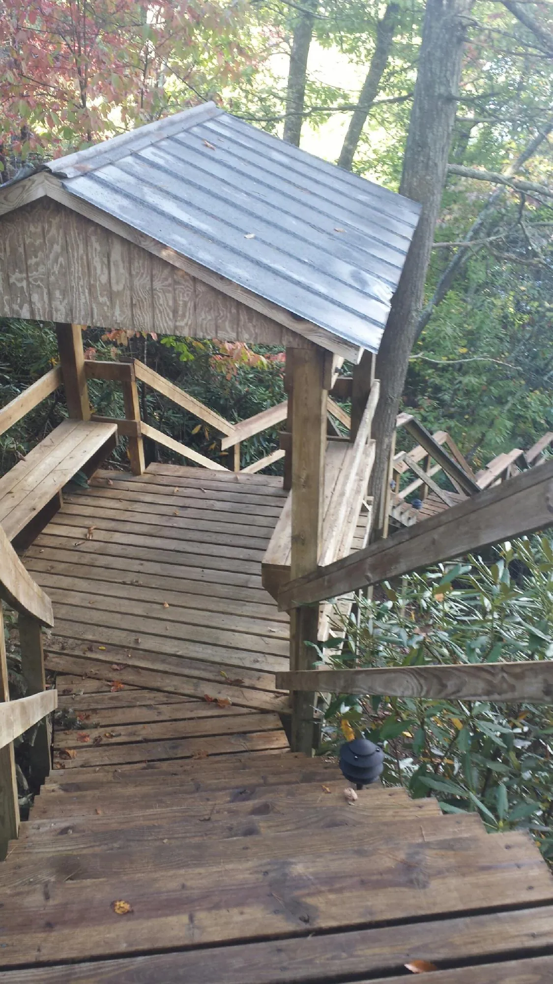 Metal roofed shelter over wooden steps on a wooded walkway — Skylight Repair & Installation work by our crew in Elk Falls