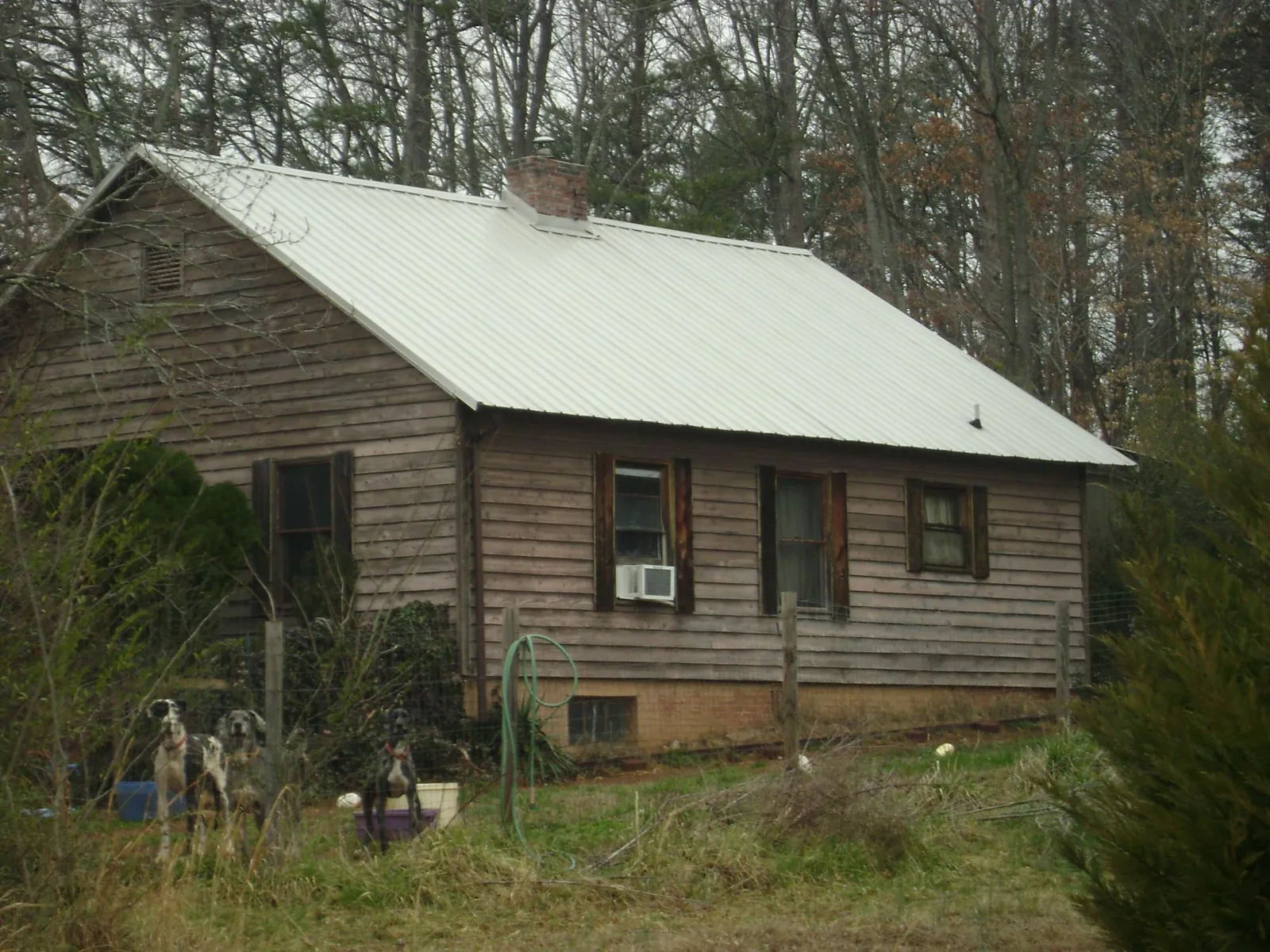 White metal roof on an old wood sided farmhouse, from a Metal Roof Installation job in Elk Falls